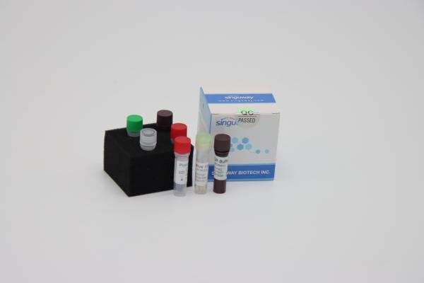 Cheap Laboratory Multiplex Fast Real Time RT PCR Detection Kit Reagents For Sars Virus Detection for sale