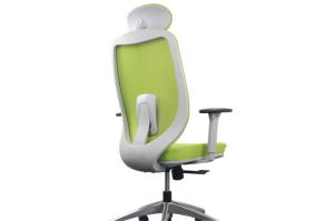 Green Mesh Adjustable Ergonomic Chair , H1165-1260MM Ergo Computer Chair
