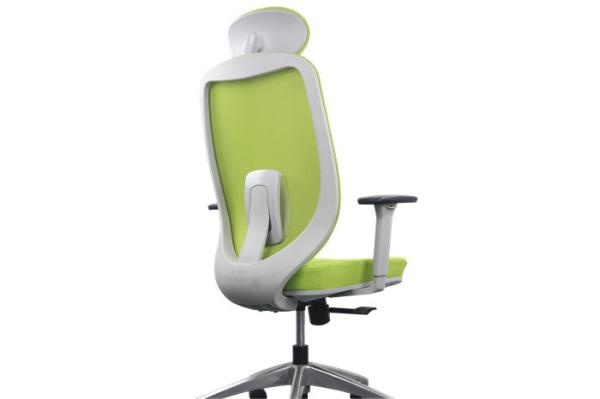 Cheap Green Mesh Adjustable Ergonomic Chair , H1165-1260MM Ergo Computer Chair for sale