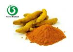 Best Anti Oxidant Turmeric Curcumin Extract Curcumin 65% For Healthcare Supplement wholesale