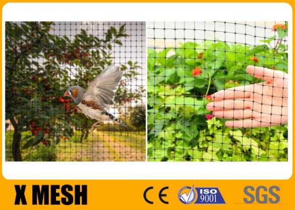 Cheap Uv Resistance Plastic Mesh Netting 4m Width By 12m Length 5 Years Using Life for sale