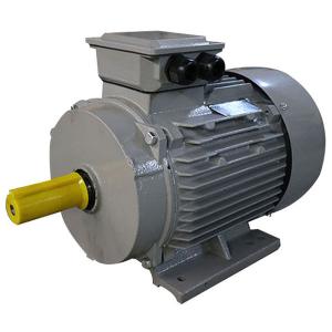 Best 12HP Three Phase Electric Motor Y2 Series Compact Structure For Biomass Pellet Machine wholesale
