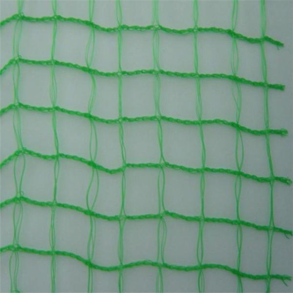 Cheap High Density Polyethylene Bird Netting For Plants / Fruit Trees Wrap Knitted Type for sale