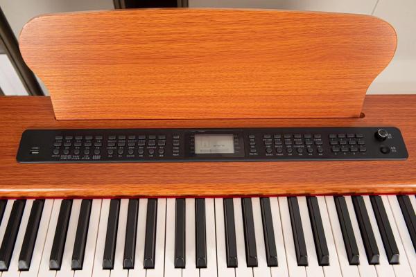 Cheap Portable high quality and cheap digital 88 keys hammer action keyboard piano upright 88-Key Weighted Action Digital Pian for sale