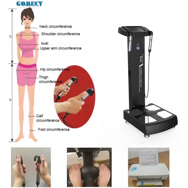 Cheap 3D Measure BMI Scale Machine , Body Composition Analyzer Machine for sale