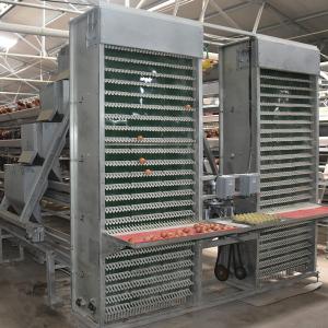 1mm 1.5kw H Type Automatic Egg Collection System No Egg Breakage