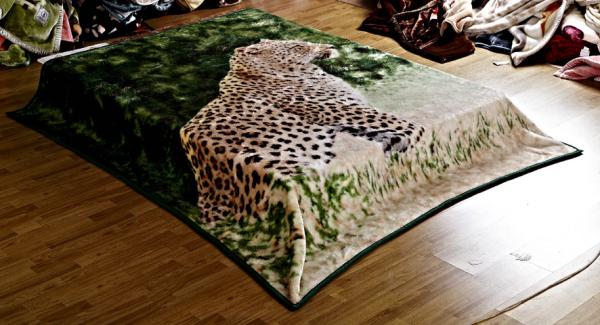Cheap Leopard Printed Micro Raschel Throw Blanket , Eco Friendly Lightweight Fleece Blanket for sale