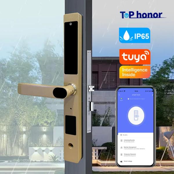 Cheap Gold Bridge Cut Tuya App Door Lock Remote Control Fingerprint Code Card Key Lock for sale