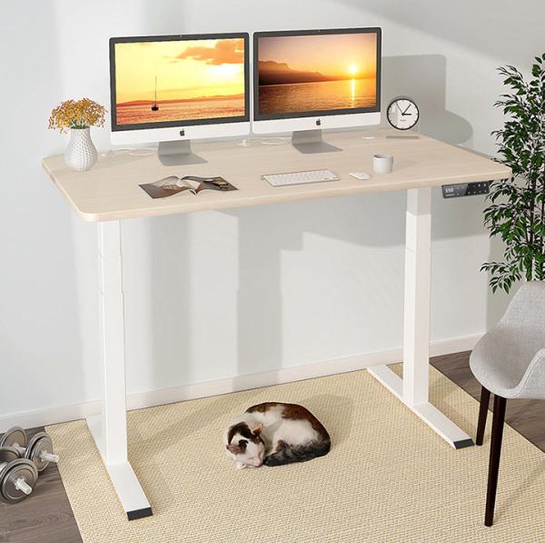 Cheap Adjustable Height Double Motor Desk for Middle Minimalistic Coffee Table and Learning for sale