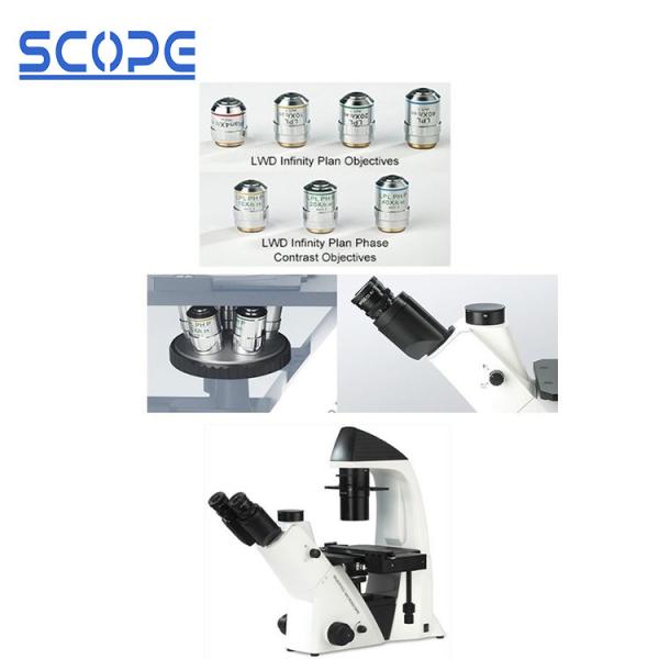 Cheap Live Cell Inverted Biological Microscope , Inverted Compound Microscope for sale