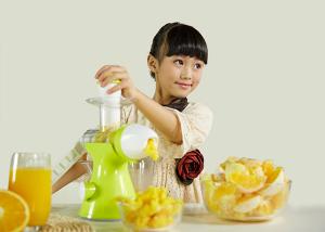 Best Multi Functional Vegetable Juice Maker High Performance Continuous Juicer wholesale