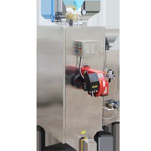 Best 0.7mpa Natural Gas Fired Steam Boiler Stainless Steel Horizontal Style 200kg/H wholesale