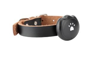 Best 2G SIM Waterproof GPS Tracking Collar Android IOS Compatible For Pet Dog / Cat wholesale