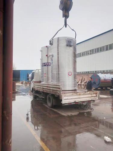 Cheap Environment Friendly Energy Efficient Gas Boiler Hot Water Output 1 Ton Weight for sale