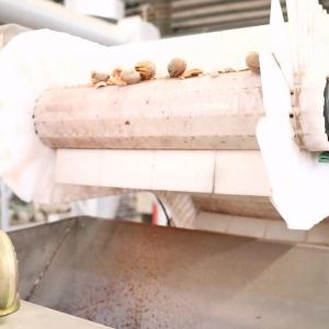 220V CE Dry Cracking Pecan Shelling Machine Connect To IR Kernel Shell Separator