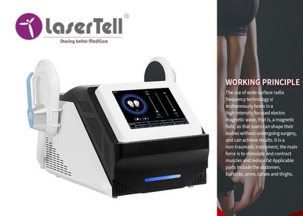 Cheap Home Slimming Ems Shaper High Frequency Fat Reduction Machine for sale