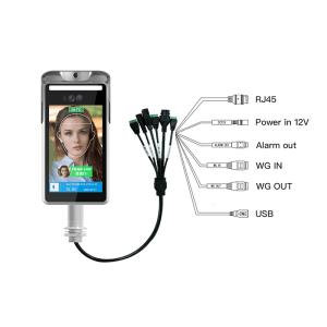 Best Linux Ip65 Face Recognition Terminal With Temperature Measurement wholesale