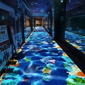 Best Immersive Interactive Gaming Projector System Fun Interactive Floor Games wholesale