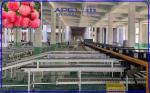 360 Degree Rotational Scanning Apple Sorting Machine Computer Control