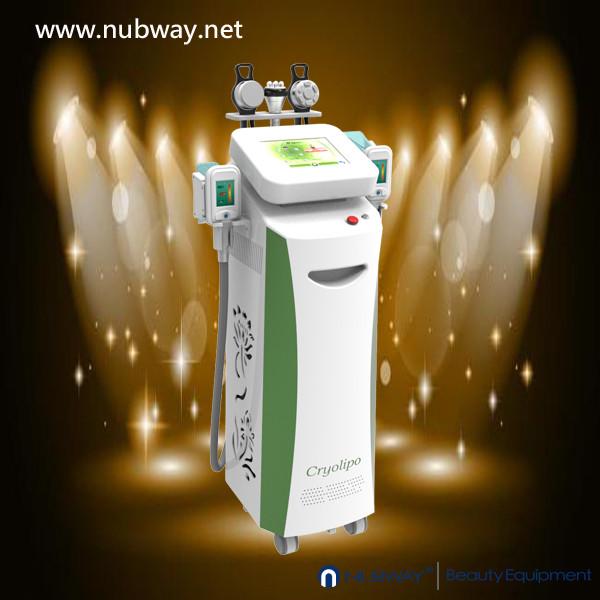 Cheap Newest amazing result fat dissolving cryolipolysis machine to lose weight for sale