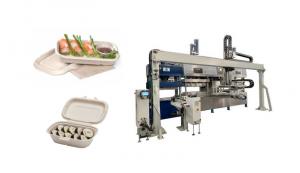 China CE Virgin Pulp Molded Tableware Machine For Thermoforming Wet Pressing on sale