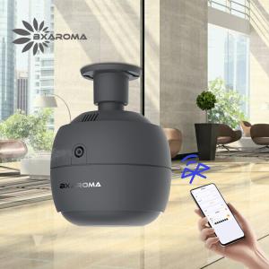 Best Commercial Usb Aroma Diffuser Electric Nebulizer Customized Popular wholesale
