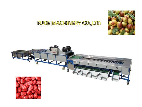 Cheap dates cleaning drying grading machine, dates sorting machine for sale