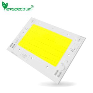 China 100w 150w Ac Cob Led Chip Linear Driver Free COB Light Source on sale