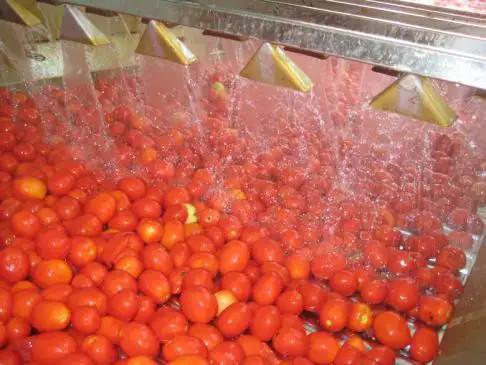Cheap PLC Jam  Processing System Automated Production Line Speed 30 - 50 Bottles/Min for sale