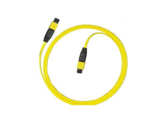 Cheap SM 24 Core Mpo Mtp Patch Cord , Fan Out Duplex Patch Cord For CATV / Computer Networks for sale
