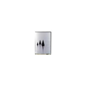 LS058C0010F 5.8 inch LCD Panel Display 1080*2280 LCD Screen
