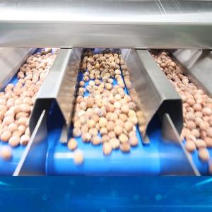 Best 360 Degree Rotational Scanning Lotus Seed Sorting And Grading Machine 8 Channels wholesale