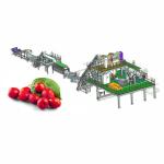 Automatic Jujube Processing Line 50T/H Extraction And Beating
