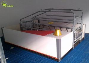 Best Automatic Swine Farrowing Crates Stainless Steel Drinker Cast Iron Floor wholesale