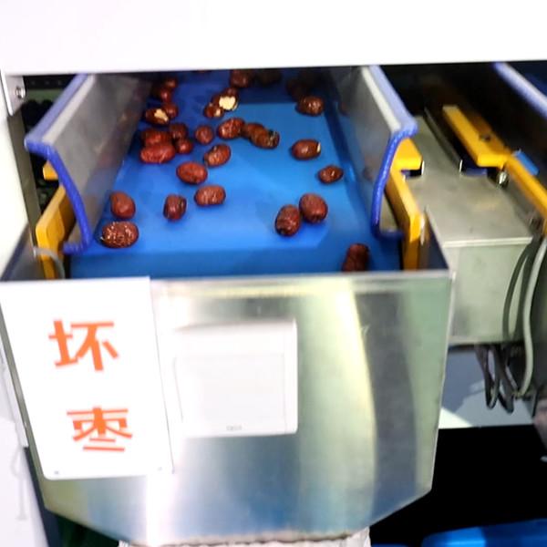 Computer Control Intelligent Stainless Steel Dates Sorting Grading Machine 10