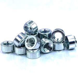 China Color Zinc Plating Plated Zinc Coating  Stainless Steel Expansion Rivet Nut on sale