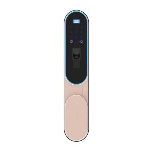 China High Security Finger Vein Recognition Smart Home Door Lock English / Chinese Language on sale
