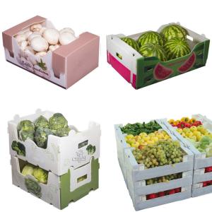 Best Corn Corflute Box Vegetable Corrugated Boxes Recyclable Custom Size wholesale