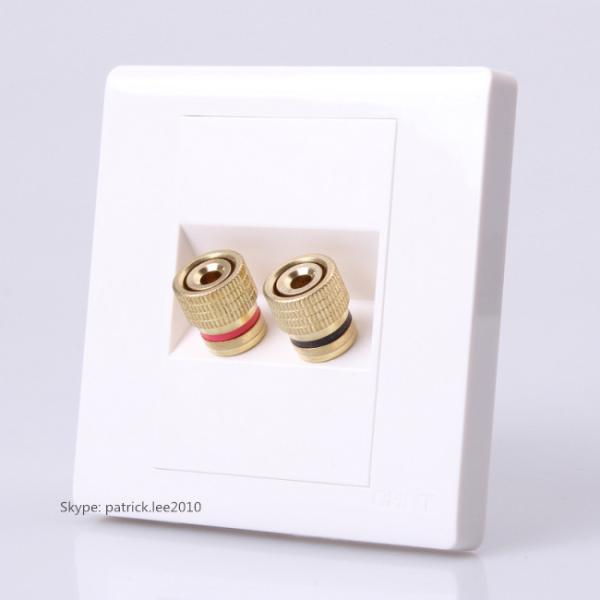 Cheap Pure White Speaker Connector Wall Panel Plate Banana Audio Socket Good Quality For Home for sale