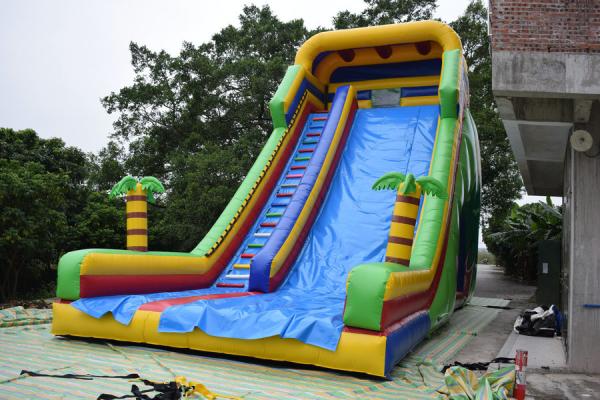 Cheap Simple Large Inflatable Dry Slide / Bright Colour Palm Tree Slides for sale