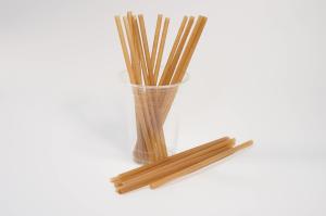 Best Beverage Stores 8 Inch Biodegradable Straws Plastic With Bagasse wholesale