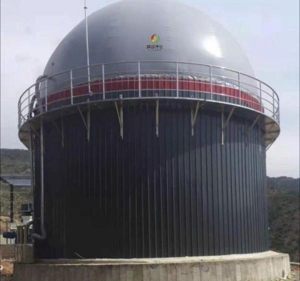 Cheap Biogas Septic Tank Design Biogas Production In Bio Gas Plant Project for sale