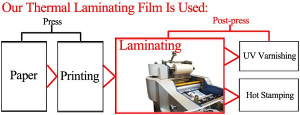 Glossy / Matte White BOPP Thermal Lamination Film FDA Certificate Passed