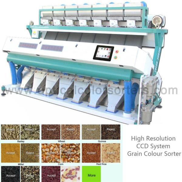 Cheap Rice Processing CCD System 99.99% Grain Color Sorter for sale