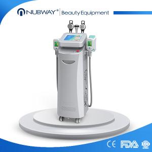 China vertical multifunction Fast and Effective Slim Freezer cryolipolysis Weight Loss 5 handles on sale