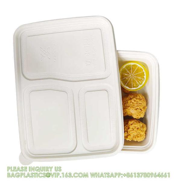 Disposable Biodegradable Sugarcane Bagasse Pulp Food Container Take Away Lunch Box Sugar Cane Food Container