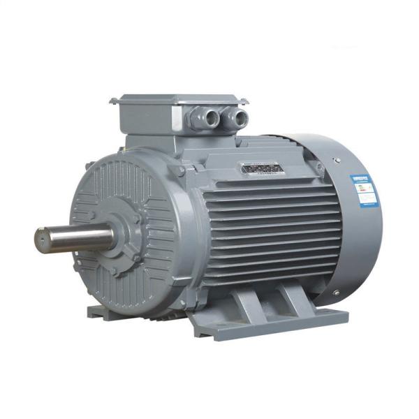 Cheap 3 Phase Variable Speed Synchronous Motor for sale