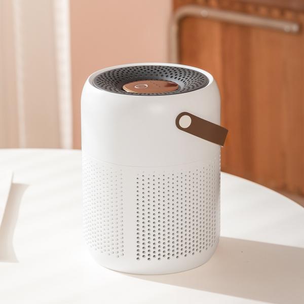 Cheap Plug-in Air Purifier with H13 HEPA Filter and Auto/Manual Modes for sale