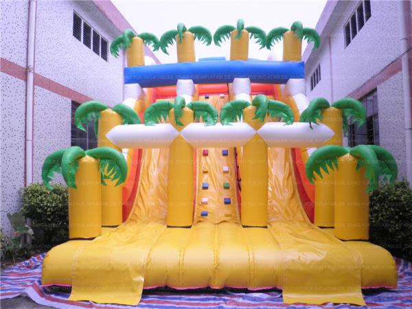 Cheap Hottest Tropical Inflatable Slide (CYSL-55) for sale