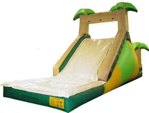 Cheap Inflatble Slide / inflatable pool slide / inflatable palm slide for sale